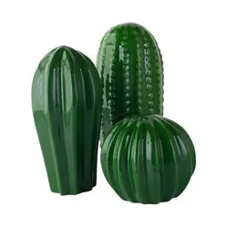 پک سه عددی کاکتوس دکوری