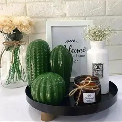 پک سه عددی کاکتوس دکوری