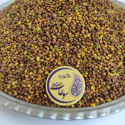 مغز پسته کوهی تازه شکن