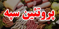 پروتئین سپه