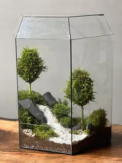 وابی کوزا طرح رودی (تراریوم)