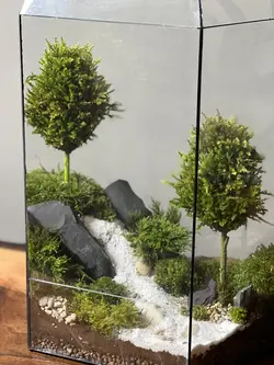 وابی کوزا طرح رودی (تراریوم)