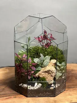 تراریوم گنبد سبز