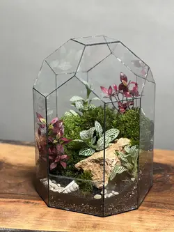 تراریوم گنبد سبز