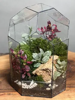 تراریوم گنبد سبز