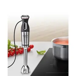 گوشت کوب برقی 1000 وات بوش مدل MS8CM6160