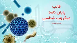 قالب پاورپوینت پایان نامه میکروب شناسی-پزشکی-پارس اسلاید75%