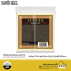 سیم گیتار آکوستیک ارنی بال سری ارث وود مدل ۱۲ سیم لایت
