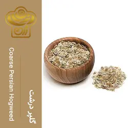 گلپر درشت عمده| Coarse Persian Hogweed - رزت