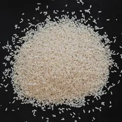 سرلاشه امرالهی پاییزه کشت دوم - رایسفا خرید مستقیم برنج