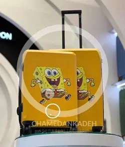 خرید چمدان کودک ریکاردو کوچک پلی کربنات نشکن - چمدانکده