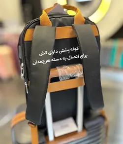 چمدان ریکاردو الترا متوسط