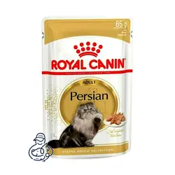 پوچ گربه‌ی پرشین رویال کنین