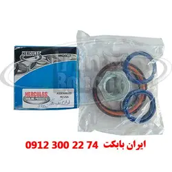 سیل کیت جک باکت مینی لودر بابکت bobcat s250 | ایران بابکت