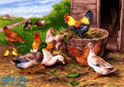 بسته نخ و نقشه تابلو فرش کوچک با طرح مرغ و خروس