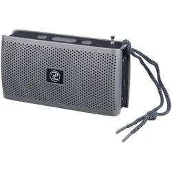 اسپیکر بلوتوثی رم و فلش خور ایکس پی-پروداکت مدل XP-B601G