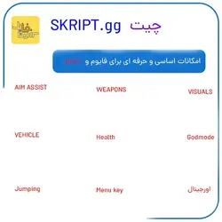 چیت SKRIPT gg برای FIVEM و GTA V
