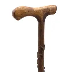 عصا منبت شعر حافظ