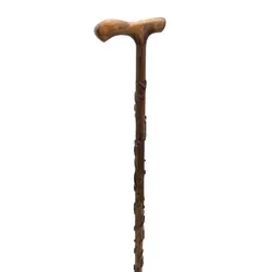 عصا منبت شعر حافظ