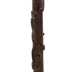 عصا منبت شعر حافظ