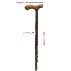 عصا منبت شعر حافظ
