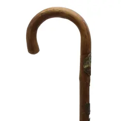 بلوط وحشی_البرتا