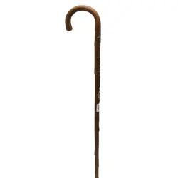 بلوط وحشی_البرتا