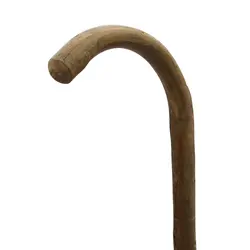 بلوط وحشی سوفیا