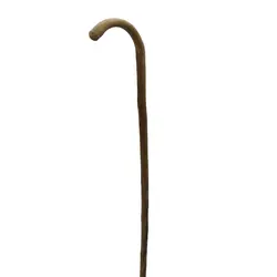 بلوط وحشی سوفیا