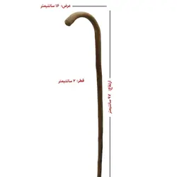 بلوط وحشی سوفیا