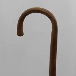 بلوط وحشی مایا