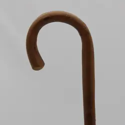 بلوط وحشی کاترینا