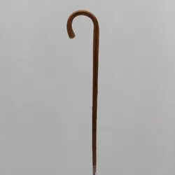 بلوط وحشی کاترینا