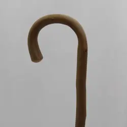 بلوط وحشی ریتا