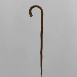 بلوط وحشی ریتا