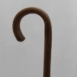 عصای بلوط وحشی لوچیا