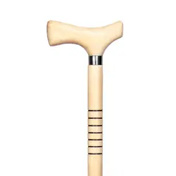 عصا مدل استندلی خودرنگ