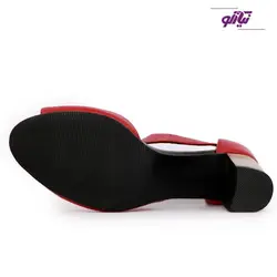 کفش زنانه مجلسی آیسو کد R874