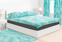 روتختی بزرگسال کد ۱۰۹۰