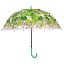 چتر شفاف نایلونی طرح برگ های سبز - مجد مارکت