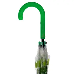 چتر شفاف نایلونی طرح برگ های سبز - مجد مارکت