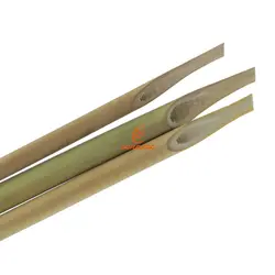 قلم خوشنویسی بامبو - مجد مارکت