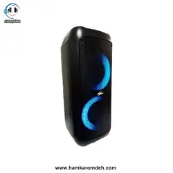 اسپیکر پارتی باکس T-f166 ویکر (VKER)