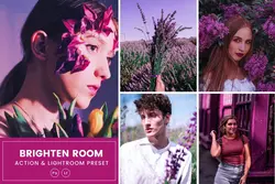 پریست لایت روم و اکشن فتوشاپ تم بنفش Purple Room