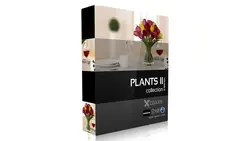 پکیج مدل سه بعدی گیاهان CGAxis Models Volume 21 Plants II