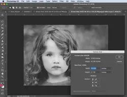 اسکریپت Image Extend PS تهیه کپی از یک جسم در فتوشاپ