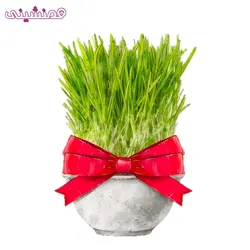 استیکر زیبای المان سفره هفت سین جشن عید نوروز مدل سبزه با گلدان نقره ای