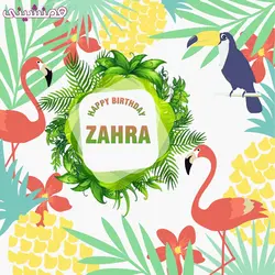 بنر مربعی جشن و تولد تم فلامینگو طرح 01