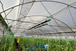 هیتر تابشی گرماسان مدل MR-55U