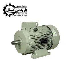 الکتروموتور الکتروژن 7.5 کیلو وات،1000 دور